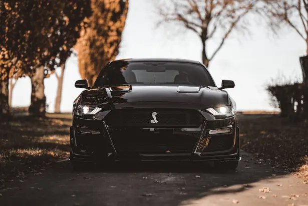 Cazino Golden Palace Cazinou Aplicație Android/iOS